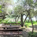 Italo By Interhome زواليي
